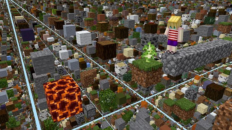 SKY GRID!