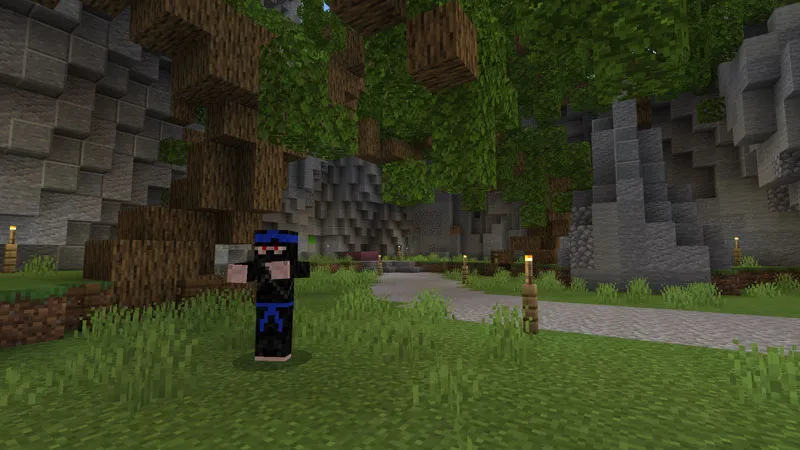 Ninja Battle