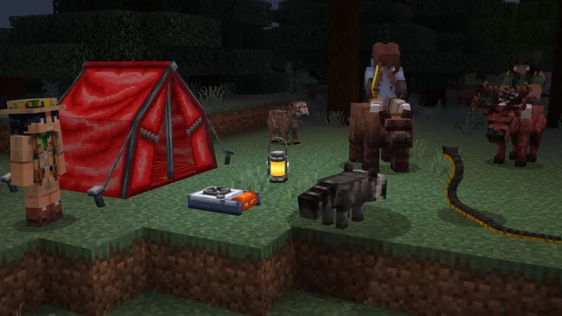 Camping Add-On