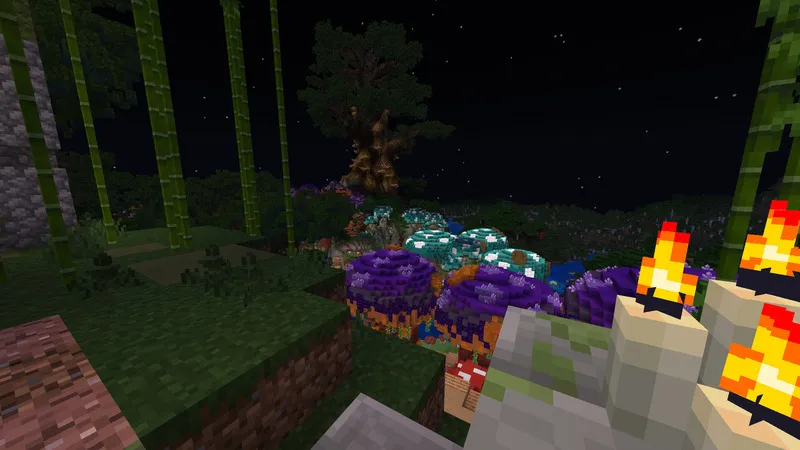 Mushroom Forest