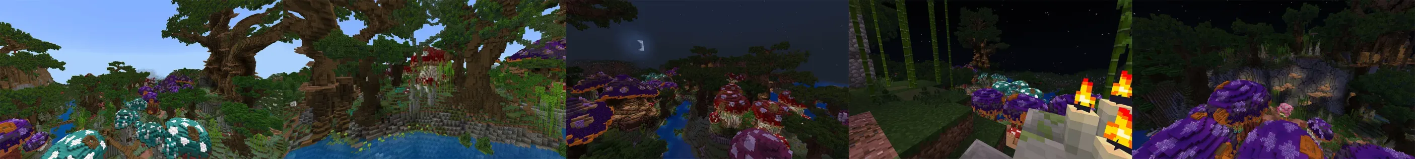 Mushroom Forest