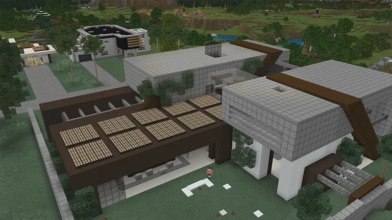 Millionaire Party Mansion