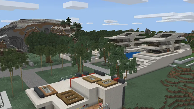 Millionaire Party Mansion