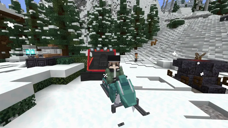 Ski Resort
