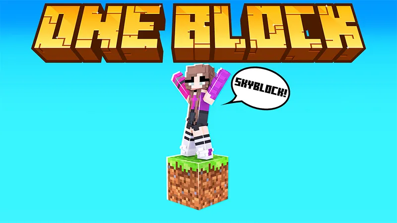 ONE BLOCK SKYBLOCK