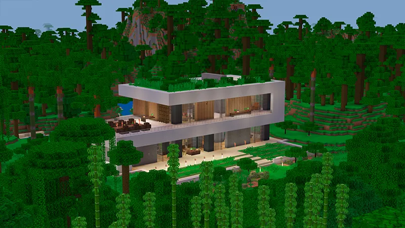Modern  House - Jungle