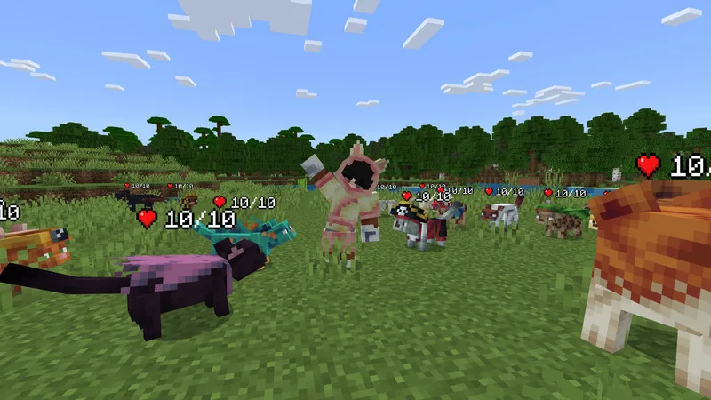 Cat Expansion Add-On