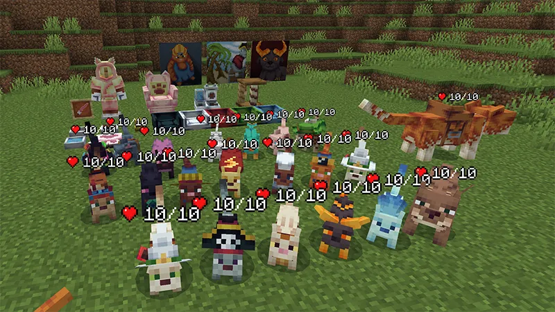 Cat Expansion Add-On