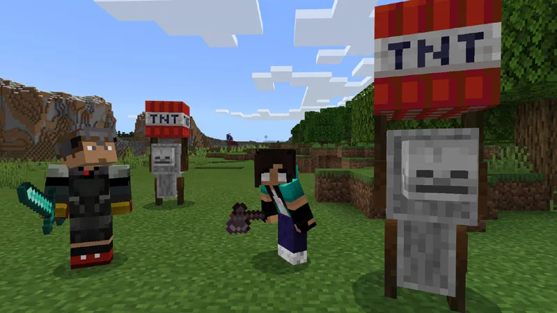 100 Days in MC, BUT...