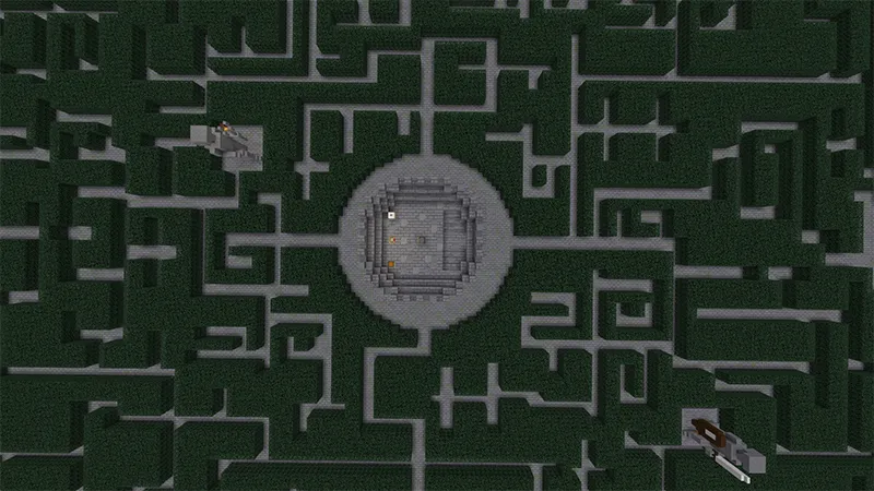 Witch's Hedge Maze