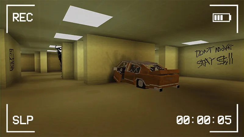 The Backrooms (Found Footage)