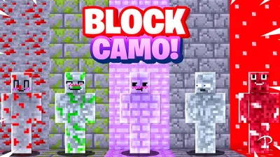 BLOCK CAMO! HD 2