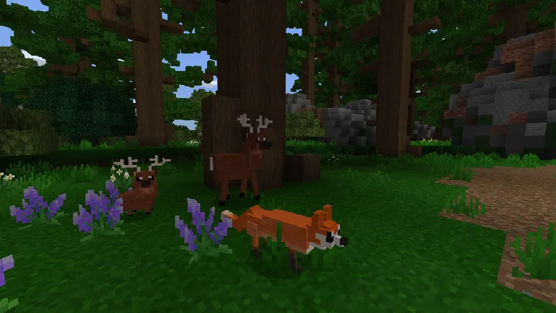 Adventures in FoxFang Ridge