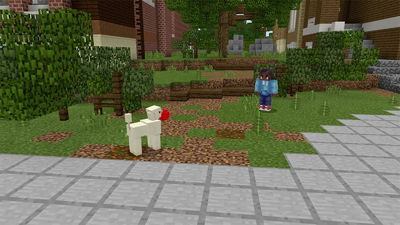 Dogs