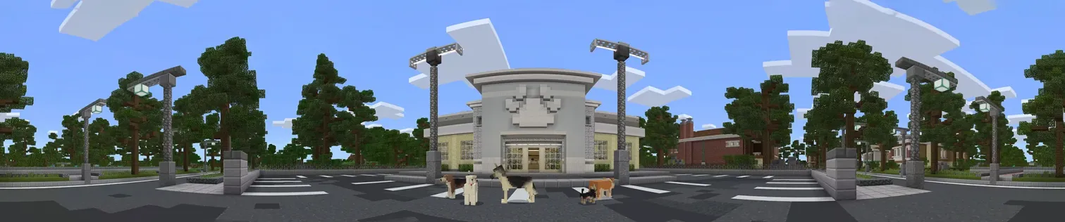 Dogs