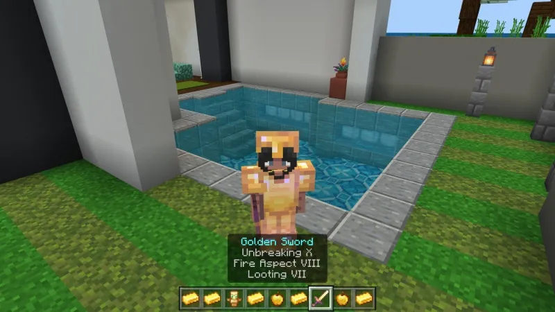 Millionaire Hacker Mansion