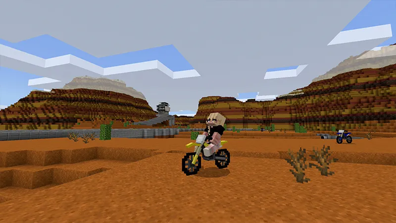 DIRT BIKE World