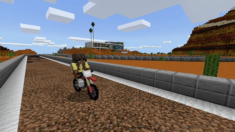 DIRT BIKE World