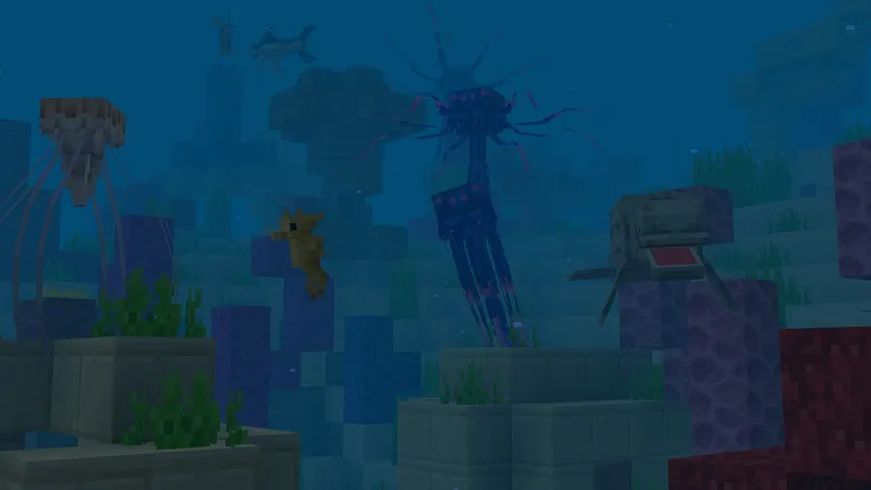 Ocean+ Add-On