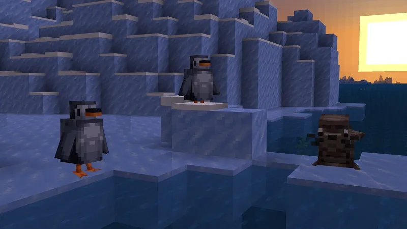 Ocean+ Add-On