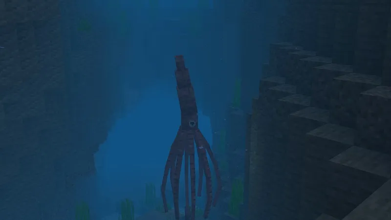Ocean+ Add-On