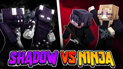 Shadow VS Ninja
