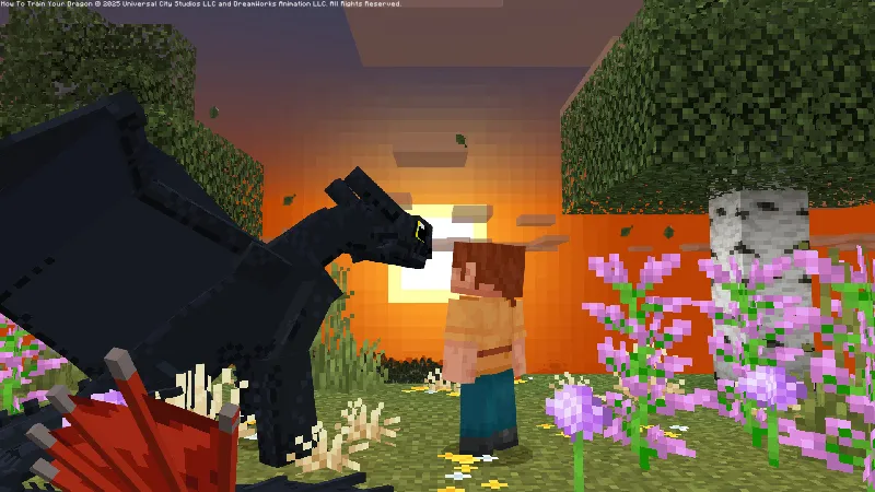 How to Train Your Dragon Add-On