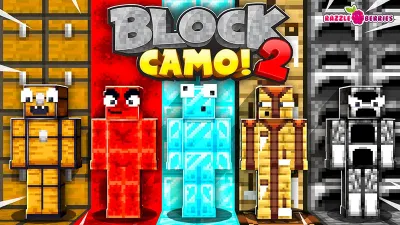 Block Camo! 2