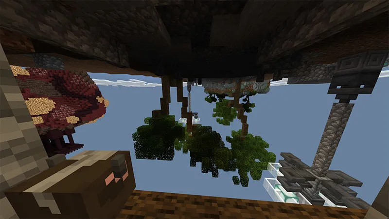 Upside Down Skyblock