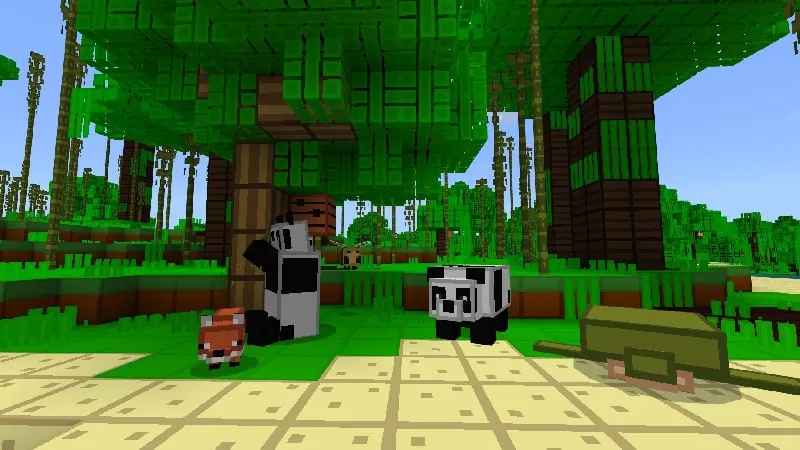 Cubed Frames Textures