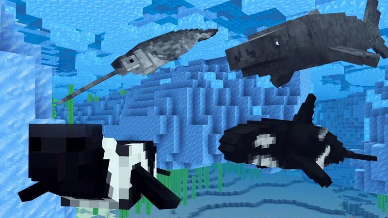 Arctic Wildlife Explorers