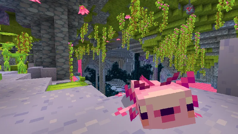 Sweet Cute Textures