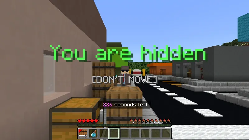 HIDE AND SEEK IN THE CITY