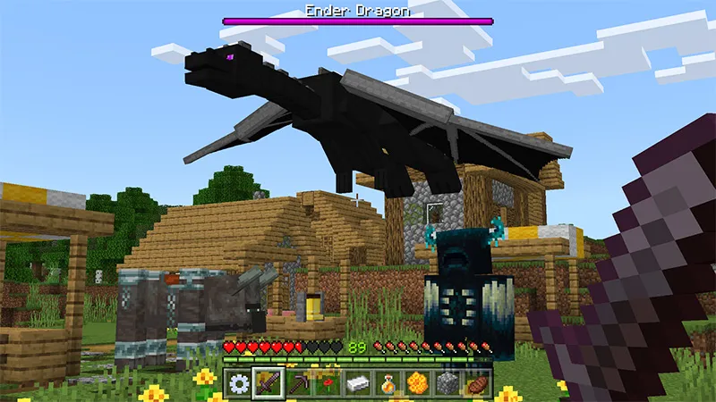Hack Client
