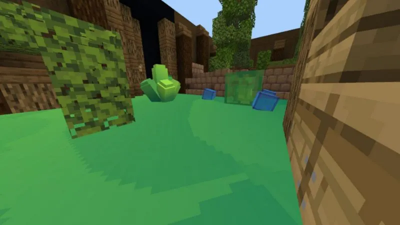 Slime Splash
