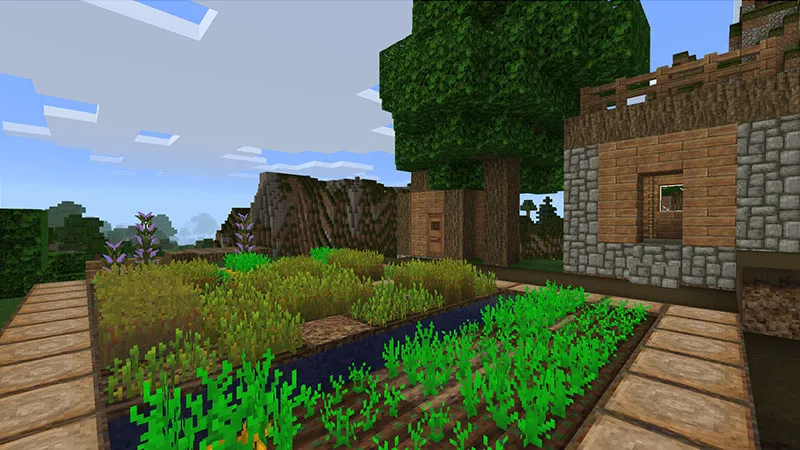 Natural Texture Pack