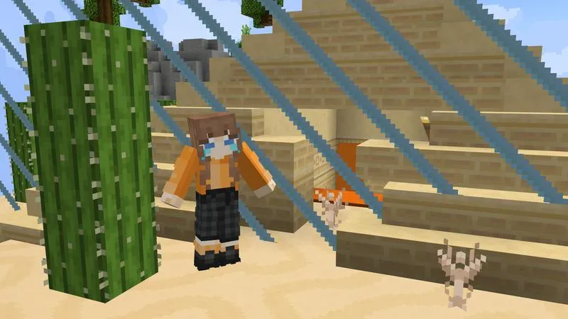 Skyblock Expanding Border