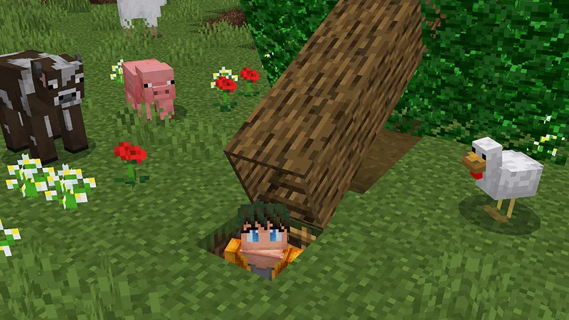 Secret Tree Base