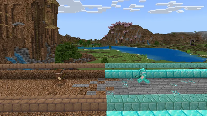 VILLAGE: NOOB VS PRO