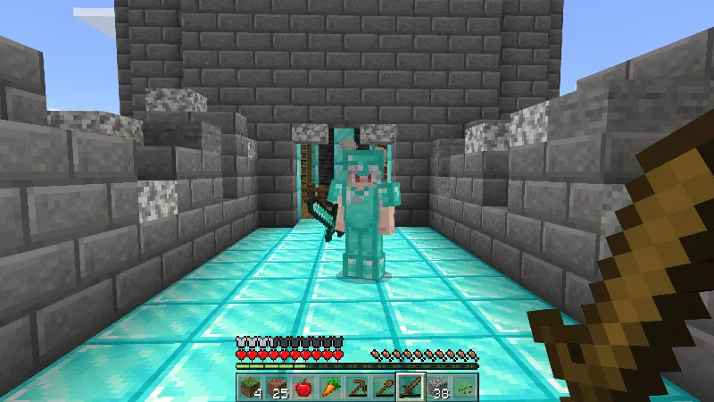 VILLAGE: NOOB VS PRO