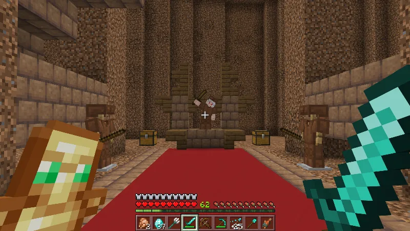 VILLAGE: NOOB VS PRO