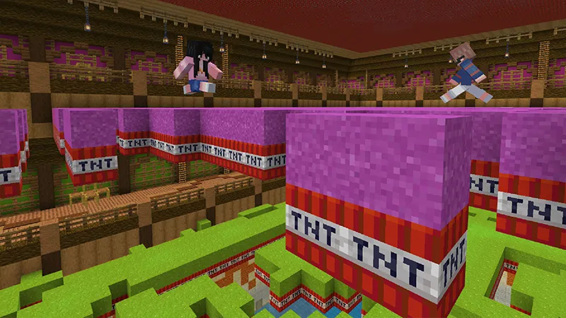 TNT RUN