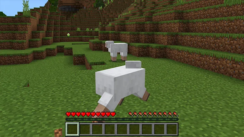 Morph: Add-On Edition