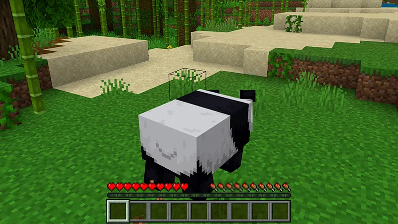 Morph: Add-On Edition