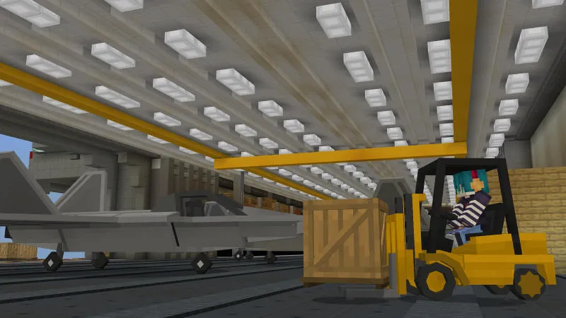 The Aircraft Carrier