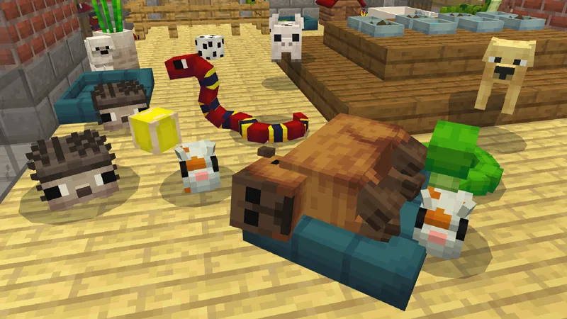 PETS!