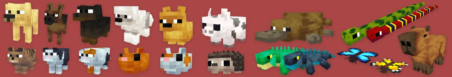 PETS!