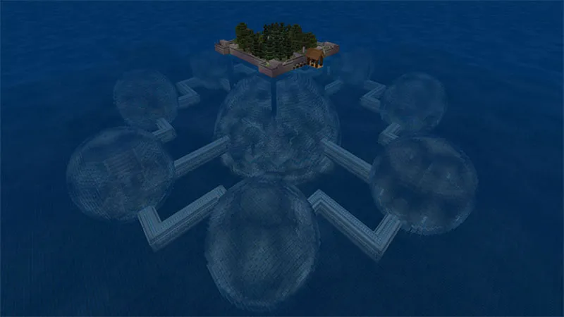 Under the Sea