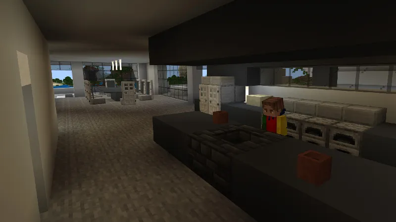 MODERN MANSION ROLEPLAY