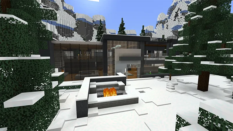Millionaire Winter Vacation